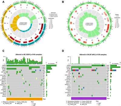 Multiple epigenetic modification profiles reveal the tumor immune microenvironment and clinical outcomes of uveal melanoma